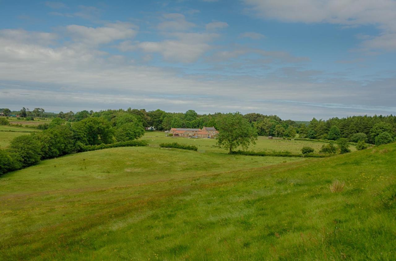 Rawcliffe House Farm Villa Pickering Exterior photo